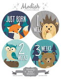 Woodland Animals Monthly Baby Stickers